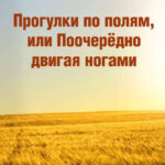 Прогулки по полям, или Поочерёдно двигая ногами