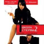 Школа стервы-2. Карьера – я ее сделала!