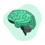 Курс: КПТ в практике психолога (200 ч). Удостоверение.