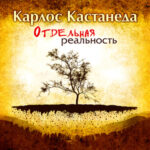 Отдельная реальность