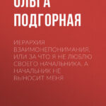 Иерархия взаимонепонимания, или За что я не люблю своего начальника, а начальник не выносит меня