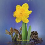 Опасный нарцисс. Книга первая. Нарциссическое расстройство личности: теория и проявления