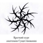 Краткий курс анатомии Существования. Часть 2. The Мля