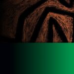 Объективная субъективность: психоаналитическая теория субъекта