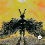 Полёты и восхождения