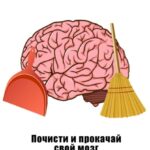 Почисти и прокачай свой мозг
