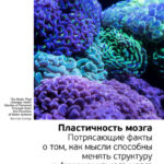 Ключевые идеи книги: Пластичность мозга. Потрясающие факты о том, как мысли способны менять структуру и функции нашего мозга. Норман Дойдж