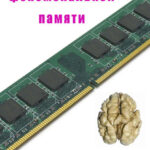 Как добиться феноменальной памяти