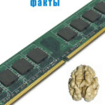 Интересные факты