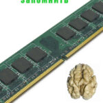 Лучшие способы запомнить