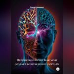 Нейросексология: Как мозг создает возбуждение и оргазм