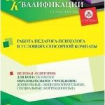 Работа педагога-психолога в условиях сенсорной комнаты (72 ч.)
